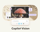 Met Microsoft Copilot Vision op Windows met hoogtepunten kan de Copilot AI zichtbare informatie en apps zien en ermee interageren. (Afbeeldingsbron: Microsoft)