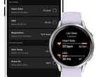 De Health Status gebruikt een eerder verkregen meetbereik voor een snelle classificatie. (Symbolische afbeelding, bron: Garmin)