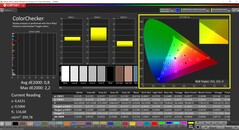 CalMAN ColorChecker (profiel: sRGB, doelkleurruimte sRGB)