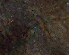 Een samengestelde afbeelding van een gedeelte van het interstellaire medium dat röntgenologisch is onderzocht op zwavel (Afbeeldingsbron: DSS, DECaPS, eRosita en NASA; bijgesneden)