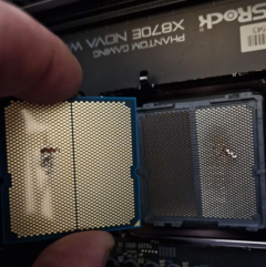 Bij een ongelukkige Reddit-gebruiker brandde zijn Ryzen 7 9800X3D op (bron: Reddit)