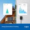 De TP-Link Tapo P410M Smart Wi-Fi Outdoor Plug kan het energieverbruik in de gaten houden. (Afbeeldingsbron: Tapo)