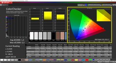 CalMAN ColorChecker (doelkleurruimte P3)