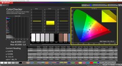 CalMAN ColorChecker (TrueColor-profiel: Display-P3)