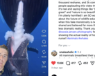 GatorChris legt in een video uit dat walvissen niet op die manier borstvoeding geven