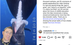 GatorChris legt in een video uit dat walvissen niet op die manier borstvoeding geven