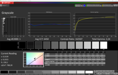 CalMAN grijstinten gekalibreerd