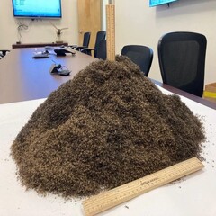 Een hoop van 1 miljoen muggen (Afbeelding bron: The Lee County Mosquito Control District; bijgesneden)