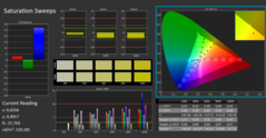 Calman ColorChecker verzadiging