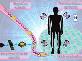 Een enkele vezelcomputer die transistors, diodes, weerstanden, condensatoren en LED's integreert in een flexibele, afwasbare streng (Afbeeldingsbron: Nano-Micro Letters) 