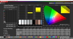 CalMAN ColorChecker (doelkleurruimte P3)