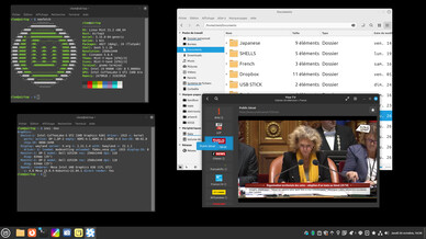 Screenshot van de nog experimentele Wayland-sessie van Cinnamon 6.0 (Afbeelding: Linux Mint).