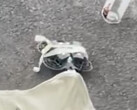 De Neo 2 zou een van de verschillende consumentendrones kunnen zijn die DJI dit jaar uitbrengt. (Afbeeldingsbron: Igor Bogdanov - bewerkt)