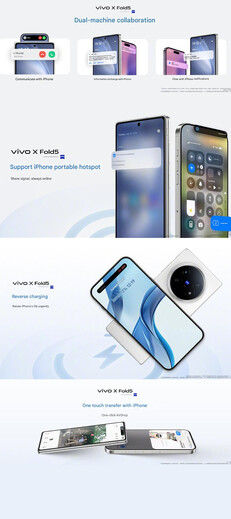 (Afbeeldingsbron: Vivo - machine vertaald)