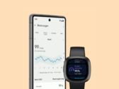 Fitbit heeft de pagina's met gezondheidsgegevens in zijn app opnieuw ontworpen. (Afbeeldingsbron: Fitbit)