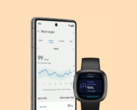 Fitbit heeft de pagina's met gezondheidsgegevens in zijn app opnieuw ontworpen. (Afbeeldingsbron: Fitbit)