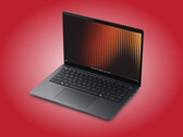 Dell biedt de P314265 in één kleur aan.