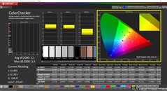 CalMAN ColorChecker (profiel: P3, doelkleurruimte: P3)