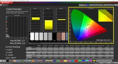 CalMAN ColorChecker (profiel: P3, doelkleurruimte: P3)