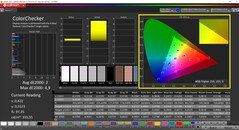 CalMAN ColorChecker (Schenker-profiel)