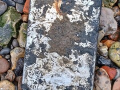 Na vijf jaar ondergedompeld te zijn geweest in de rivier de Theems, heeft een iPad Mini de Met Police in staat gesteld om een zes jaar durend onderzoek op te lossen. (Afbeeldingsbron: Met Police via BBC)