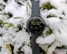 De Pixel Watch heeft een lange weg afgelegd sinds onze review van vorig jaar. (Afbeelding bron: NotebookCheck)