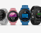 De Garmin Forerunner 255-serie is verkrijgbaar in tal van configuraties, waaronder twee formaten. (Afbeelding bron: Garmin)