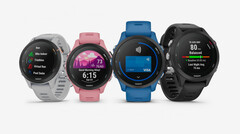 De Garmin Forerunner 255-serie is verkrijgbaar in tal van configuraties, waaronder twee formaten. (Afbeelding bron: Garmin)