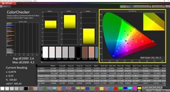 CalMAN ColorChecker (DCI-P3 doelkleurruimte)