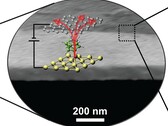 1 nm moleculair dunne laag van thermische transistors bovenop halfgeleiders (Beeldbron: Wetenschap)