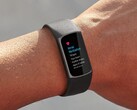De Fitbit Irregular Heart Rhythm Notifications-functie is uitgerold naar meer dan 20 landen wereldwijd. (Afbeelding bron: Fitbit)