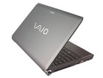 Sony Vaio VPCS111FM/S