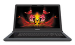 Medion P8610
