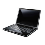 Toshiba Satellite P300